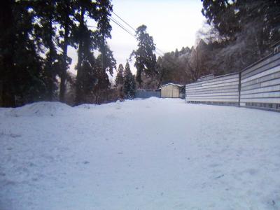 九合目を過ぎて手前の分岐でこっち側に登ってきてしまった