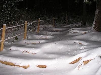 それにしても階段が多い登山道だけどこの付近もトレースが消えていた