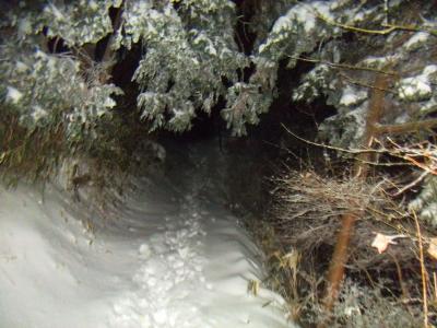 ここからまたトレースがあったけど右側に滑って滑落すると大変なことになる