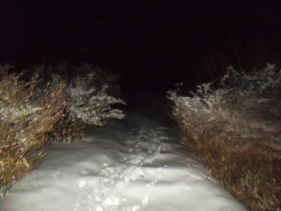 ここはツツジ園のところだけど積雪時、しかも夜となると何もわからない