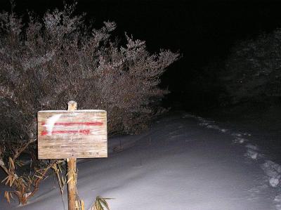 ツツジ園の上のほうまで登ってきた。いよいよ山頂を目指す