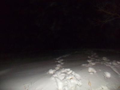 面倒なのでトレースがある高原地帯を通って山頂へ直登する