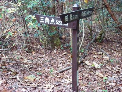 ここがどうやら明神ヶ岳の山頂らしいけど三角点は左にあるようだ