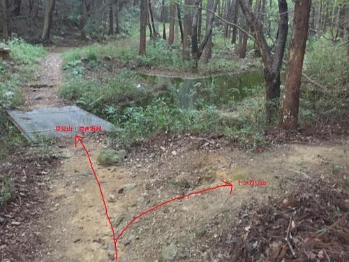 最初から分岐があったが、右はトンガリ山