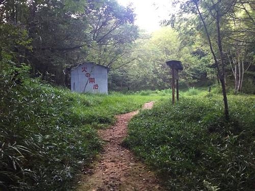 しばらくこういう道が続く