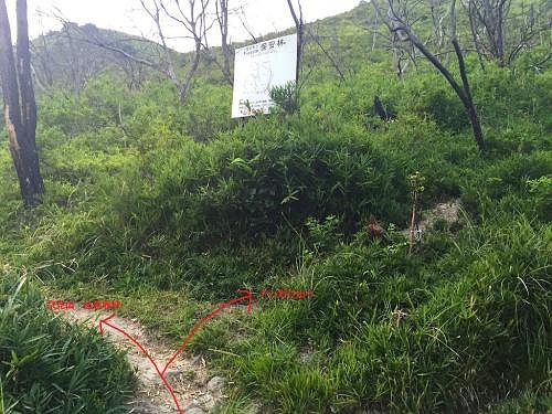 ここでも分岐。右はトンガリ山への谷ルート