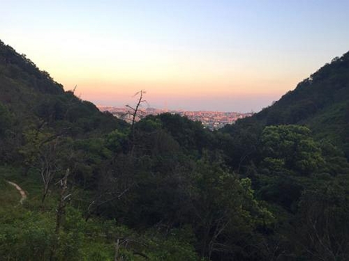 高度があがってきて市街地が見えてきた