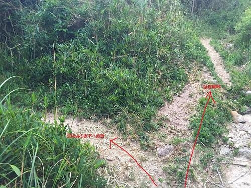 ここでも分岐。直進（右）は泣き坂峠ルートで左は京見山の直下への直登ルートなので右へ登る