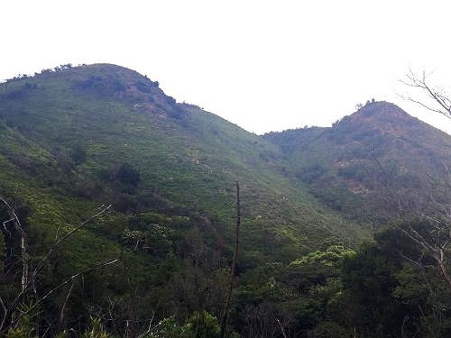数年前に火事で焼けた山らしいが新しく生えている草と岩肌で迫力あるような山容に見えた