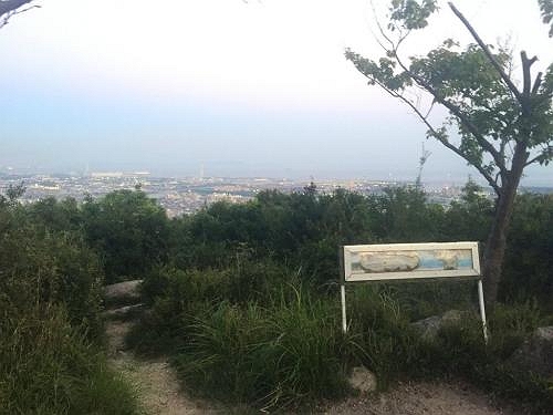 京見山の山頂広場に到着。南側の展望が開いてるが、草が生えていて邪魔だった