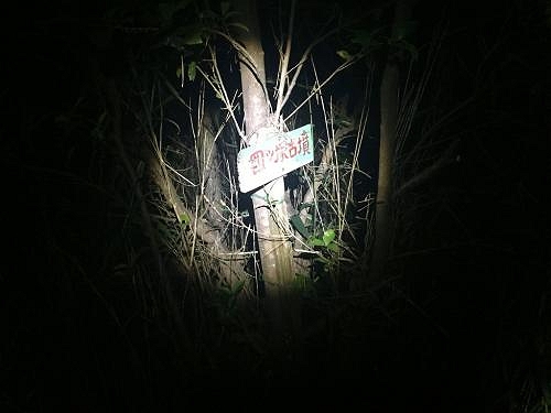 途中で四ツ塚古墳があったけど暗くてわからなかった