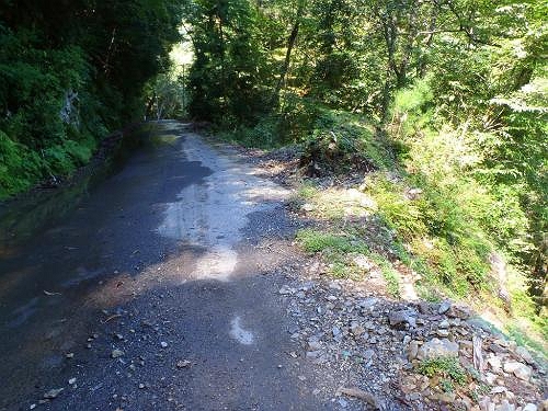 北股分岐までの沢はいらないので今回はここから分岐点まで降りていきます