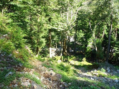 踏み跡がちゃんとありました