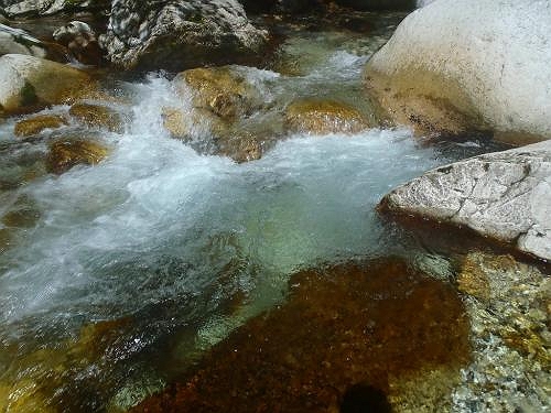 この段階でも超綺麗な水