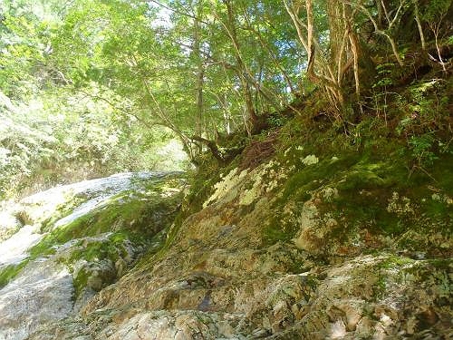 以前はロープ出したけど、今回は前回下りで見つけた安全な巻きルートより登る