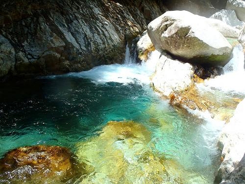 ここは以前にクロちゃんが浮いてた場所。やっぱ同じところを撮影するのね