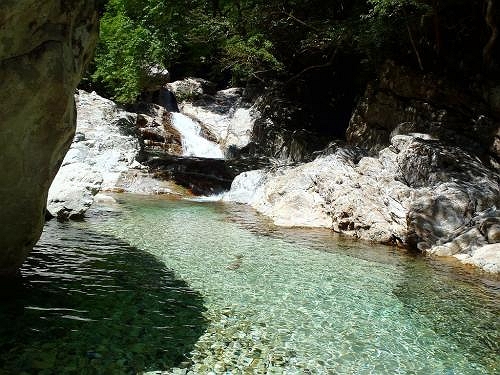 この辺りから陽がさすので水温が変わる
