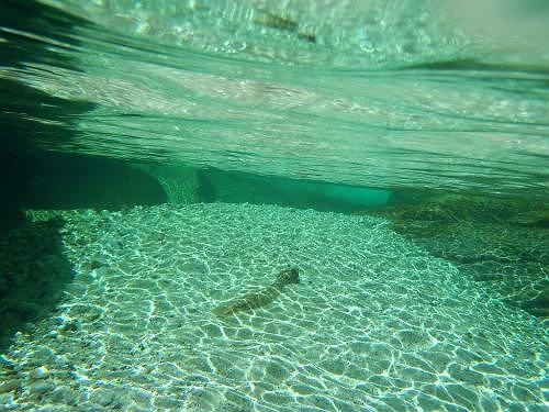 この透明感！！！