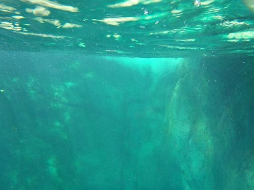 水底。ここはグリーンだけど、やっぱ透明感があって綺麗