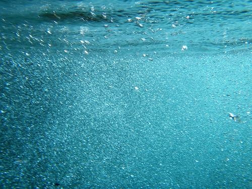 一番サイダーぽく写った！？