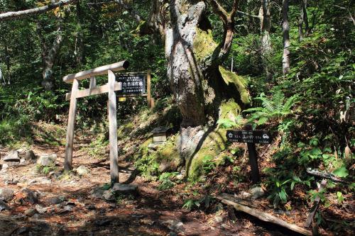 山の神に到着。ちょっと早いけど体力温存のためにもここで登りはじめの5分休憩をとる。また、下山時に気付いたが、ここの標高表記がおかしいことに気付く