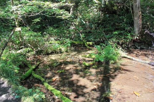 地図上にある池がここ。下山時にここまで来るとあと少しという目安になった