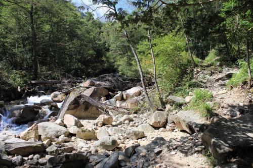 しばらく、こうういう沢の横を歩いていく道が続く