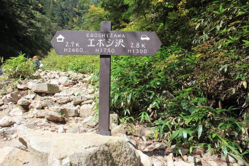 エボシ沢に到着。なるほど！エボシ沢って一の沢から分岐した沢のことなんやね