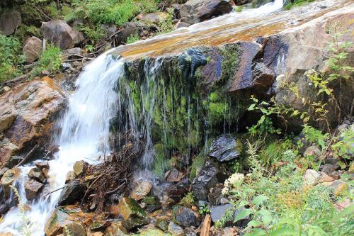 途中で珍しい苔むした岩があったので、S嬢が撮れと！