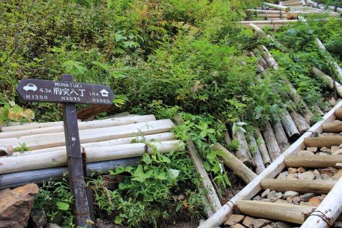 胸突八丁に到着。ここから高巻きになり本格的に登りがキツくなってくる