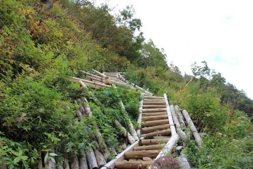 こういう階段を見ると嫌になる＾＾；