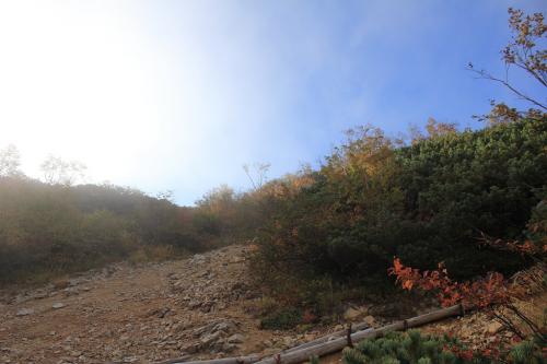 ジグザグの樹林帯を抜けるとパッと開けた場所にでた