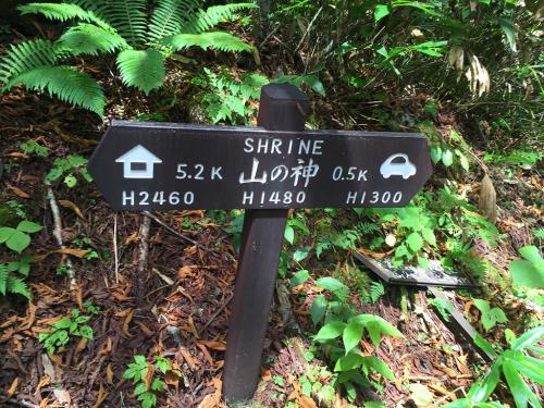 長い下りの最後に山の神に到着。ここで標高表記がおかしなことに気付く。一の沢の標高が1323mに対して、30分もかからない山の神が1480mと標高差150m！？国土地理院の地図みてもおかしい。1380mの間違いでは！？