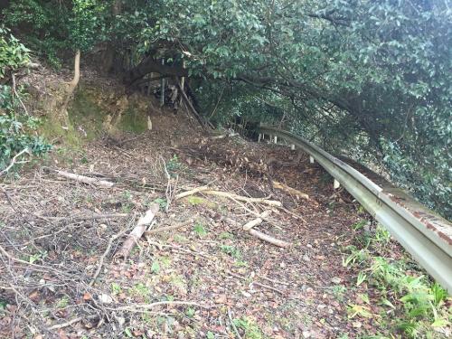 荒れてるけど歩ける