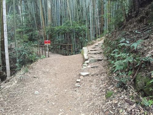 これを右にいくと急斜面なしに稜線にでるけど、急斜面だけど奥の山展望広場の最短は左なので左へいく