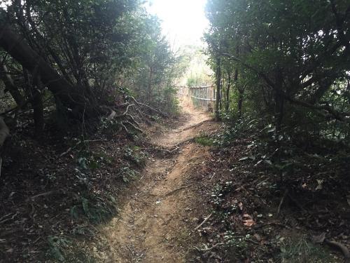 やっと明るくなると奥の山展望広場の手前