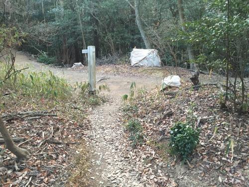 ここで稜線にでる。左へ行くと天王山、十方山や最初の分岐のところは右