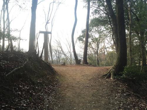 少し稜線を歩くとすぐ分岐がある