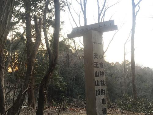 ここでまた分岐で十方山のほうへ。ここからはなだらかだけど、山頂まで長かった