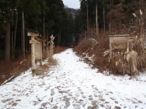 金引橋分岐に到着。相変わらず長い林道だった・・・何度歩いてもこの長さには慣れないな