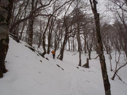 稜線手前は急登で雪の量も増えてきてるけど、この時期なのにやっぱ雪の量は少ない