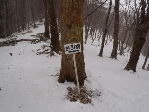 いつもは下りでこれを見るけど、登りは意外にすぐ着いた感じだった