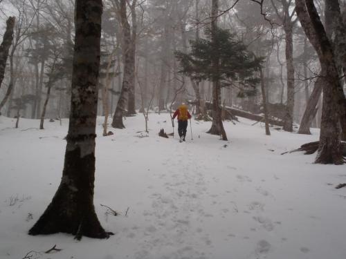 かなり吹雪いてきた