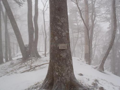 P1518mに到着。このプレートのみ！