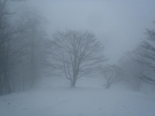 天女の舞と思われる付近だけど、もはや視界がこれで何も見えない