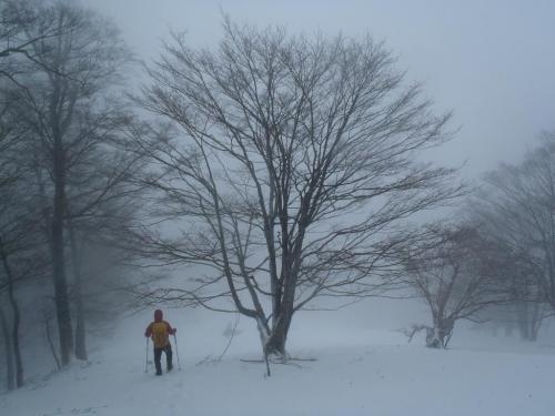「天女の舞」の看板を探し倒すが見つからない