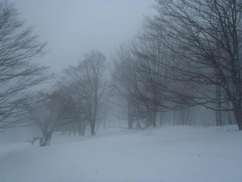 う～ん、この付近なはずだけど、この視界と天候なのでリベンジしよう