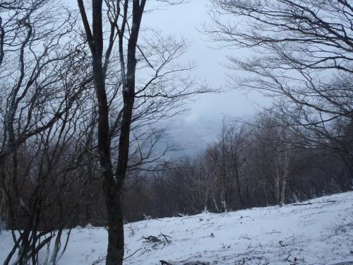 ガスがはけて天気が回復？してきたと思い、ここから栃尾辻に戻るけどやっぱ上部はガスガスで川合へ降りることにした