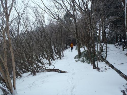 川合道は平坦で歩きやすかった