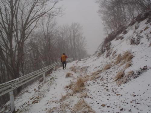 坪内林道荒れてるな～